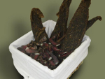 ranch biltong